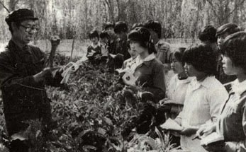 A professor teaching his students how to grow medicinal herbs. X1N HUA