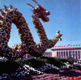 Un énorme dragon fait de chrysanthèmes sur la place de Tian'anmen, à Beijing, capitale de la Chine. Photo Liu Chen