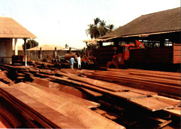 Une grande société de transformation et de commerce de bois d'œuvre en Guinée-Bissau, avec un effectif de 500 personnes. Photo Li Yuanxiu